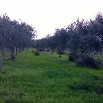Nyaraló Sa Mitza