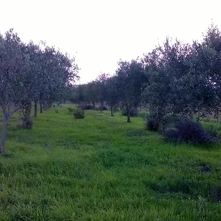 Holiday home Sa Mitza