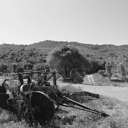 Semesterbostad Sa Mitza