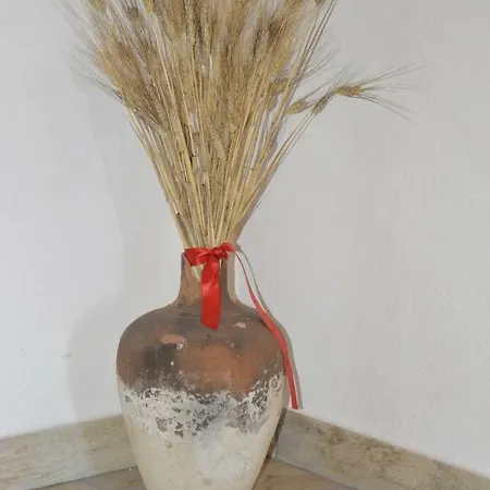 Sa Mitza Casa vacanze *